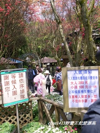 ♥ 迷人的四月楓紅 ♥ 陽明山台北奧萬大