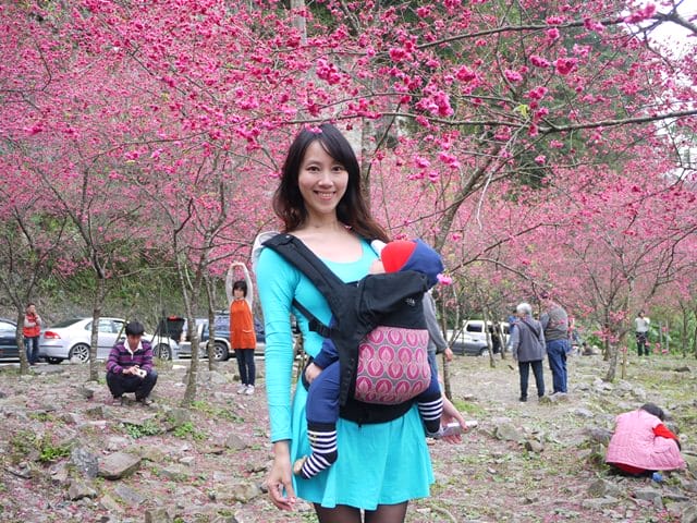 【宜蘭景點】安貴妃拜年♥ 宜蘭三星米香銀柳節♥大同鄉秘境牛鬥賞櫻 ♥