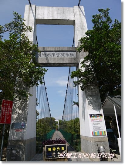 【苗栗景點】全台唯一湖中島~日新島水榭樓台島上咖啡