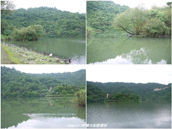 【旅遊】二訪宜蘭˙湖畔莊園& 梅花湖畔遇見桐花