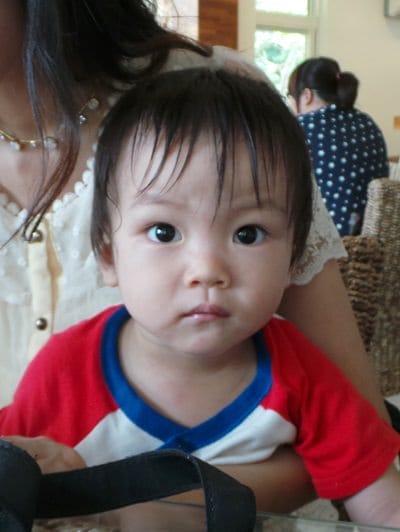 ▌苗栗景觀餐廳▌苗栗三義♥青松自在♥超可愛童話玻璃屋