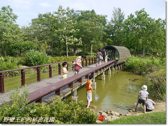 【苗栗景點】全台唯一湖中島~日新島水榭樓台島上咖啡