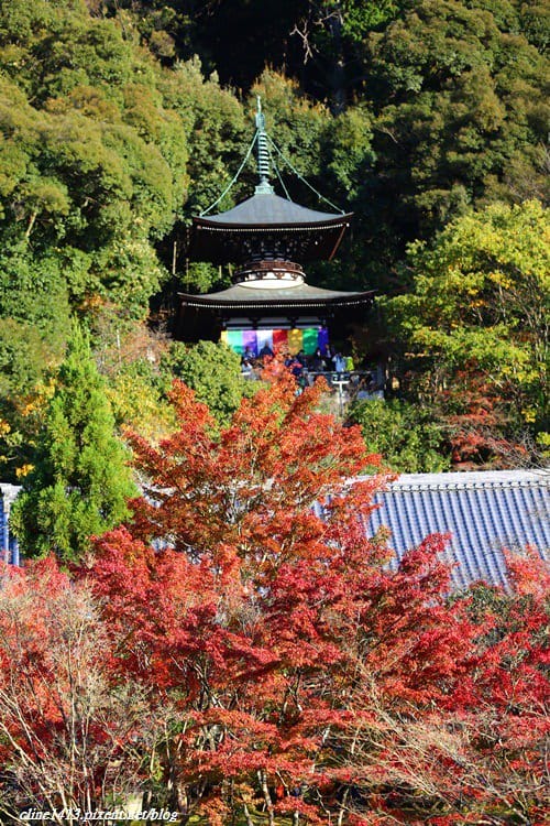 ▌京都賞楓▌必訪名所♥永觀堂♥日楓、夜楓都很迷人