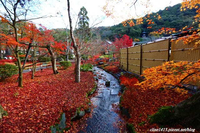 ▌京都賞楓▌必訪名所♥永觀堂♥日楓、夜楓都很迷人