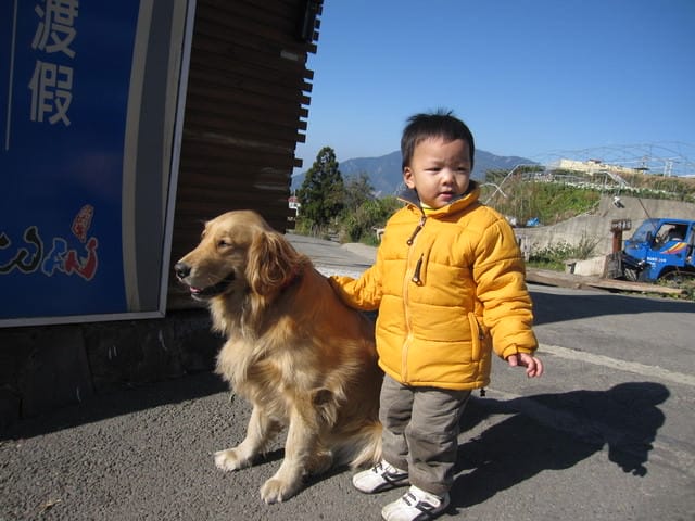 IMG_0099 瑋瑋跟可愛的黃金