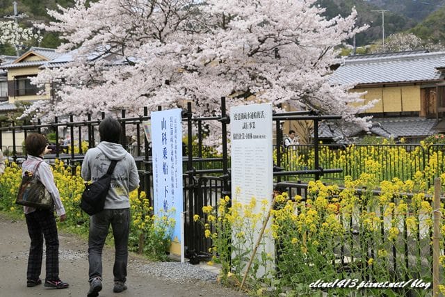 _MG_8843.JPG