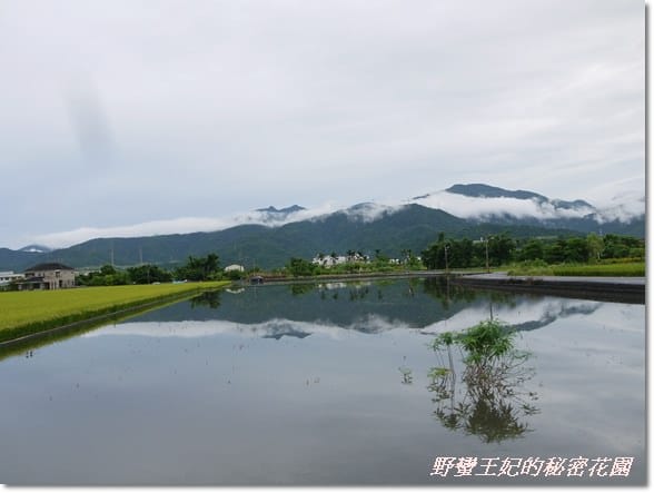 【推薦】令人難忘的田園美景~宜蘭【春不老驛站】民宿˙景觀篇