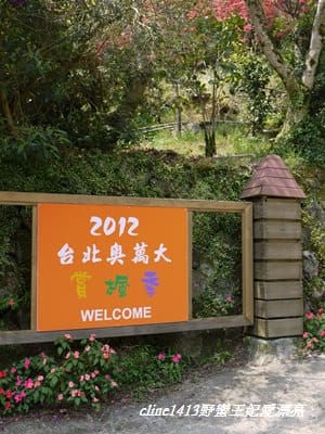 ♥ 迷人的四月楓紅 ♥ 陽明山台北奧萬大