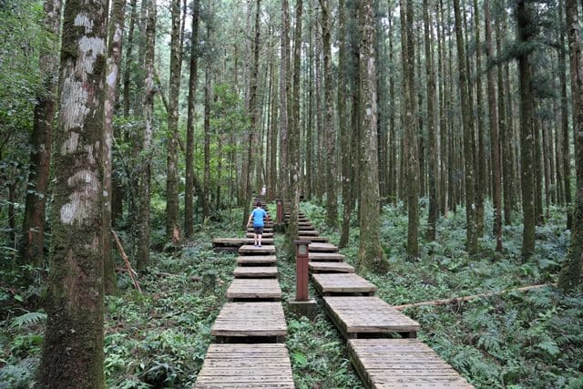 ▌宜蘭景點▌美如仙境的避暑盛地♥ 明池森林遊樂園區♥