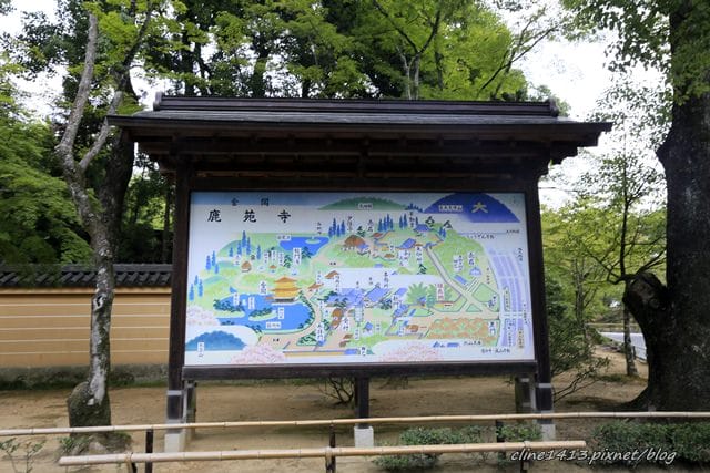 _MG_4668.JPG