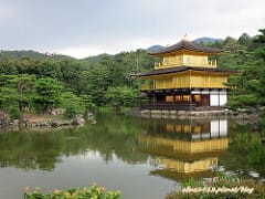 ▌大阪自由行▌♥大阪周遊卡♥免費38個大阪景點&必玩11個熱門景點推薦(2017.5月更新) - 第146張圖 ▌大阪自由行▌♥大阪周遊卡♥免費38個大阪景點&必玩11個熱門景點推薦(2017.5月更新)