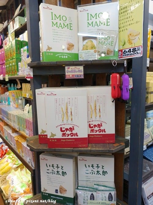 ▌浪漫北海道▌♥北海道五天四夜精彩行程分享(小樽、札愰、函館、登別、洞爺湖溫泉美景)