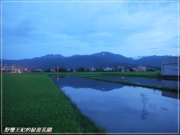 【推薦】令人難忘的田園美景~宜蘭【春不老驛站】民宿˙景觀篇
