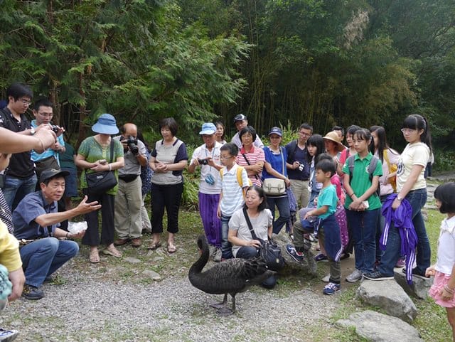 ▌宜蘭景點▌美如仙境的避暑盛地♥ 明池森林遊樂園區♥