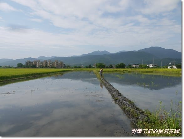 【推薦】令人難忘的田園美景~宜蘭【春不老驛站】民宿˙景觀篇