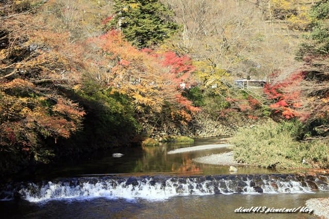 ▌京都賞楓▌京都賞楓名所♥瑠璃光院♥絕美夢幻的紅葉美景by陽光男孩