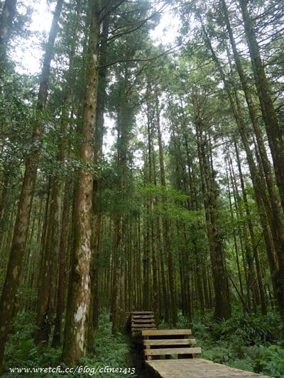 ▌宜蘭景點▌美如仙境的避暑盛地♥ 明池森林遊樂園區♥