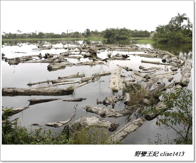 ▌羅東景點▌清幽如畫~羅東林業文化園區