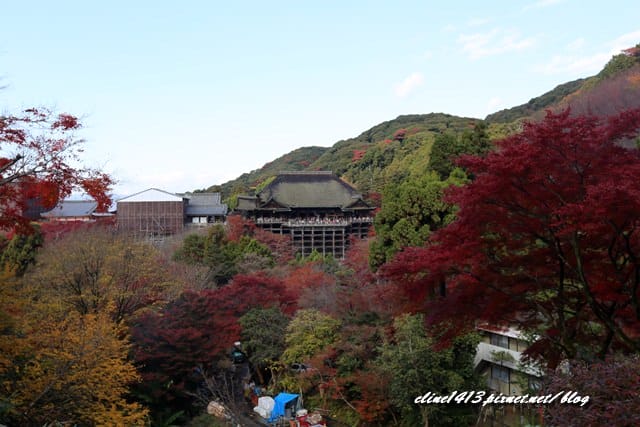 ▌清水寺 ▌京都賞楓必訪景點♥清水寺♥絕美夜楓!京阪賞楓自由行行程分享By陽光男孩