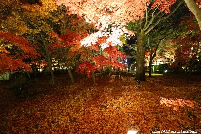 ▌京都賞楓▌必訪名所♥永觀堂♥日楓、夜楓都很迷人