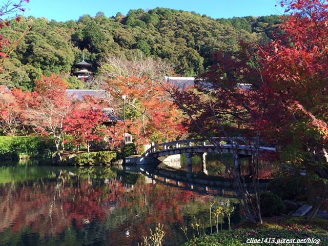 ▌京都賞楓▌必訪名所♥永觀堂♥日楓、夜楓都很迷人