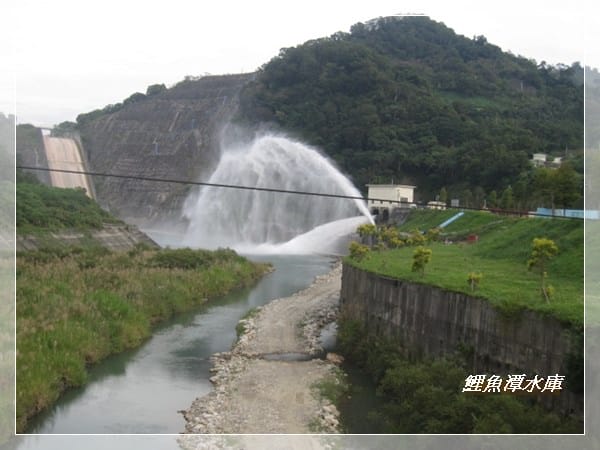苗栗三義~龍騰斷橋&鯉魚潭水庫 - 第20張圖 苗栗三義~龍騰斷橋&鯉魚潭水庫