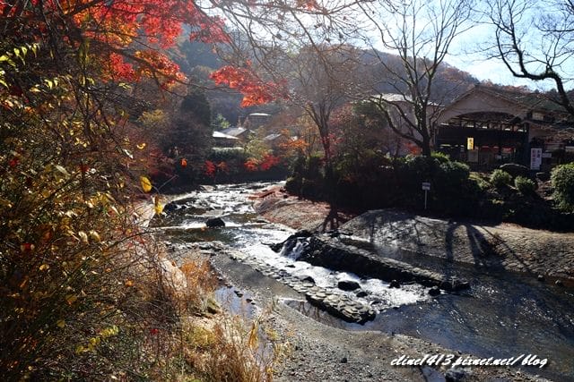 ▌京都賞楓▌京都賞楓名所♥瑠璃光院♥絕美夢幻的紅葉美景by陽光男孩