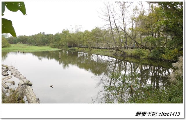 ▌羅東景點▌清幽如畫~羅東林業文化園區