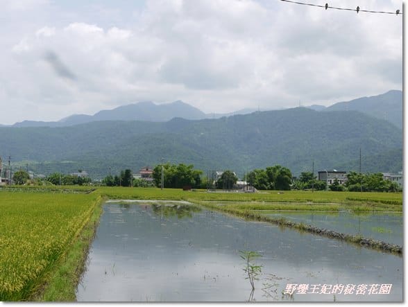 宜蘭【春不老驛站】民宿˙坐擁美景的包棟新體驗