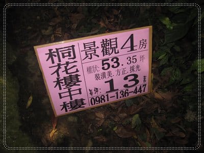 土城桐花季*遊*桐花 - 第8張圖 土城桐花季*遊*桐花