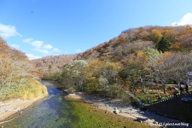 ▌日本東北賞楓▌絕美賞楓景點♥奧入瀨溪流散策♥彷彿走進畫布裡的美景