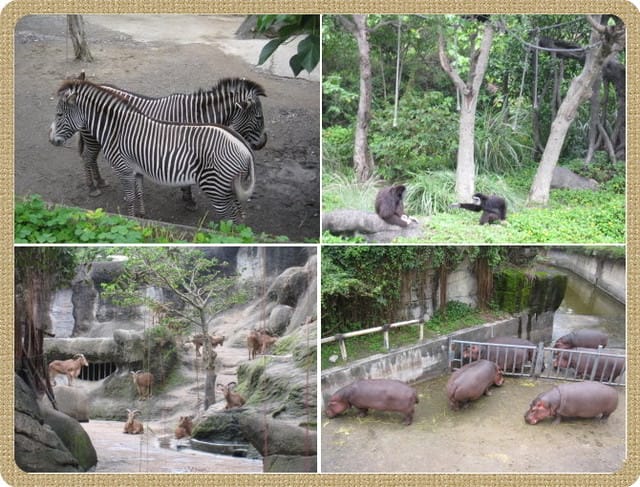 陪公子遊 動物園~甜蜜的負荷