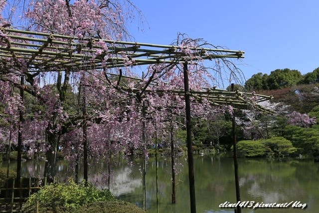 _MG_8680.JPG
