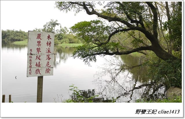 ▌羅東景點▌清幽如畫~羅東林業文化園區