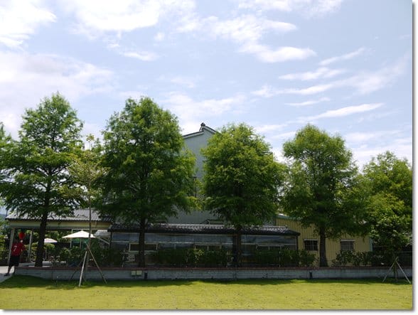 【推薦】令人難忘的田園美景~宜蘭【春不老驛站】民宿˙景觀篇